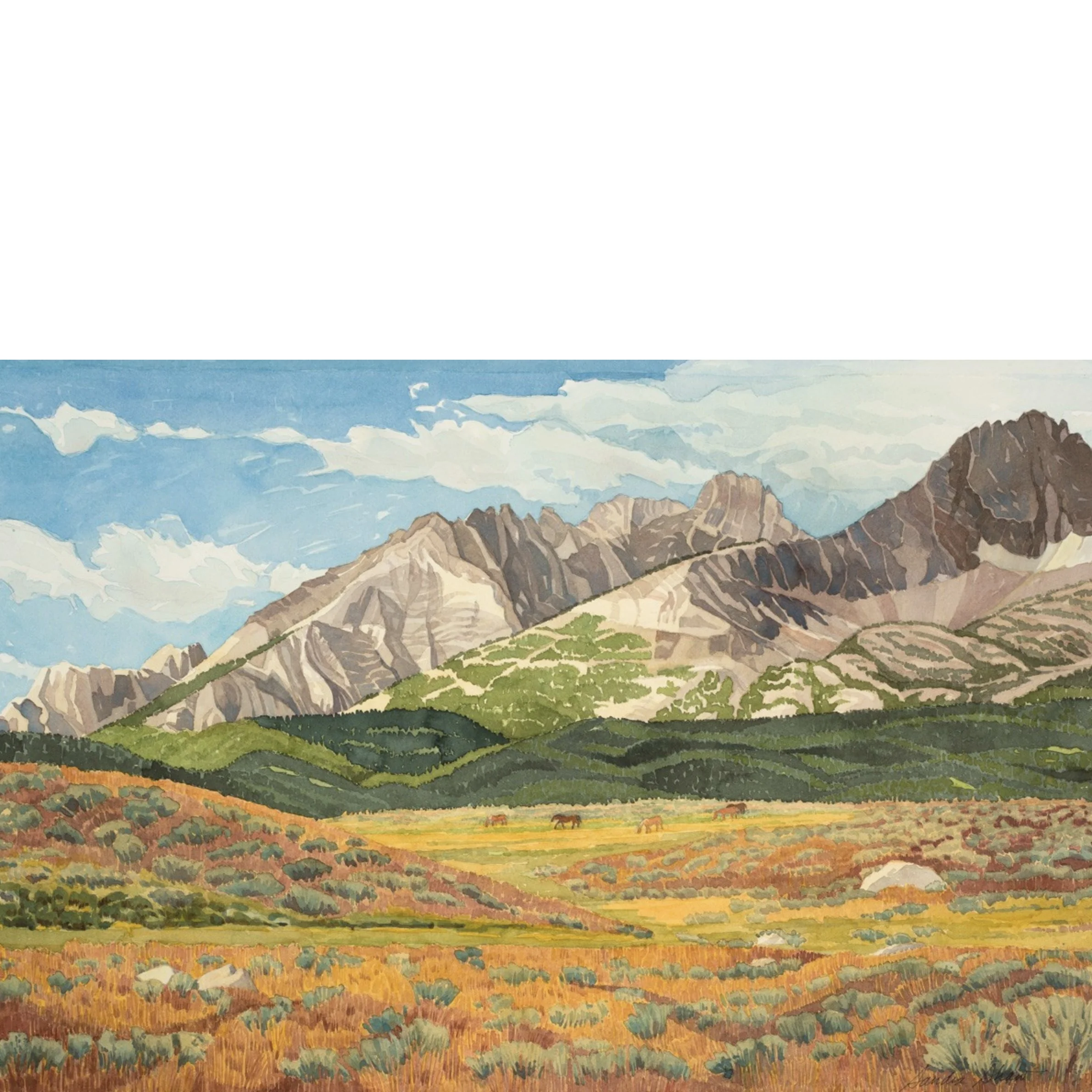 Sawtooth Summer by Sandra Shaw — Saddletree Gallery & Framing